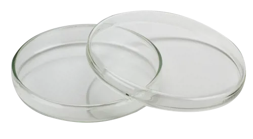 Petriskål, glas, Ø100 x 15 mm (016530)