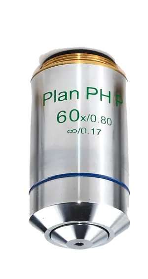 Fasekontrast objektiv PH Plan 60x negativ (076721)