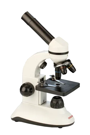 Mini-mikroskop, DualScope (076835)