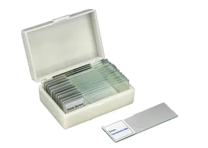 Mikropræparatsæt, sædceller, 25 præparater (078860)