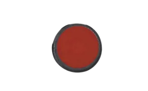 Proton, magnetisk skive, rød (516100)