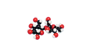 Model, sukkermolekyle, saccharose (527557)