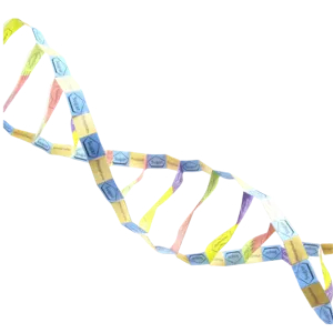 DNA struktur - Origami Organelles (776018)