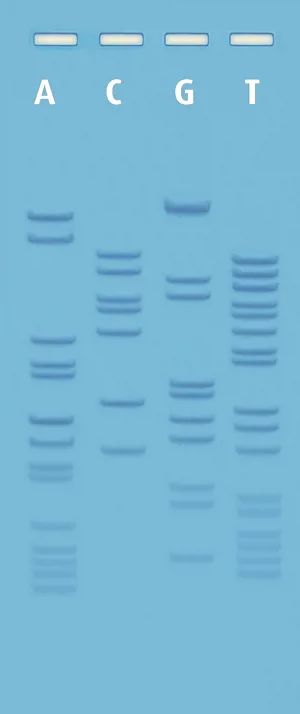DNA-sekventering, ready-to-load (778120)