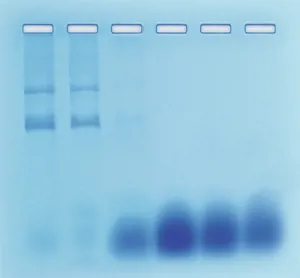 Adskillelse DNA-RNA søjlechromatografi (778204)
