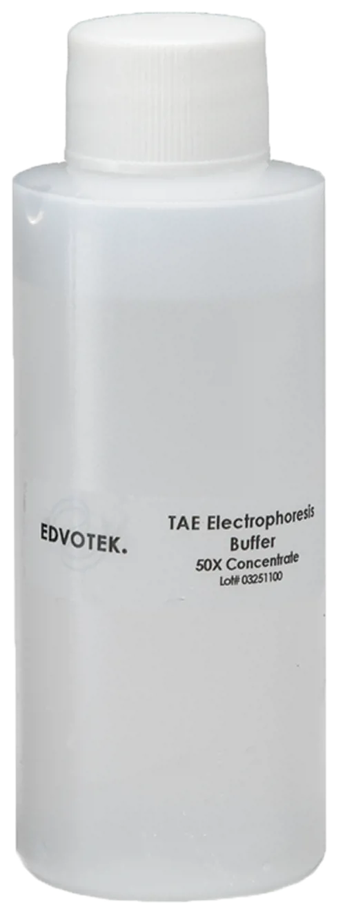 TAE buffer, 50x konc. Edvotek, 500 mL (888770)