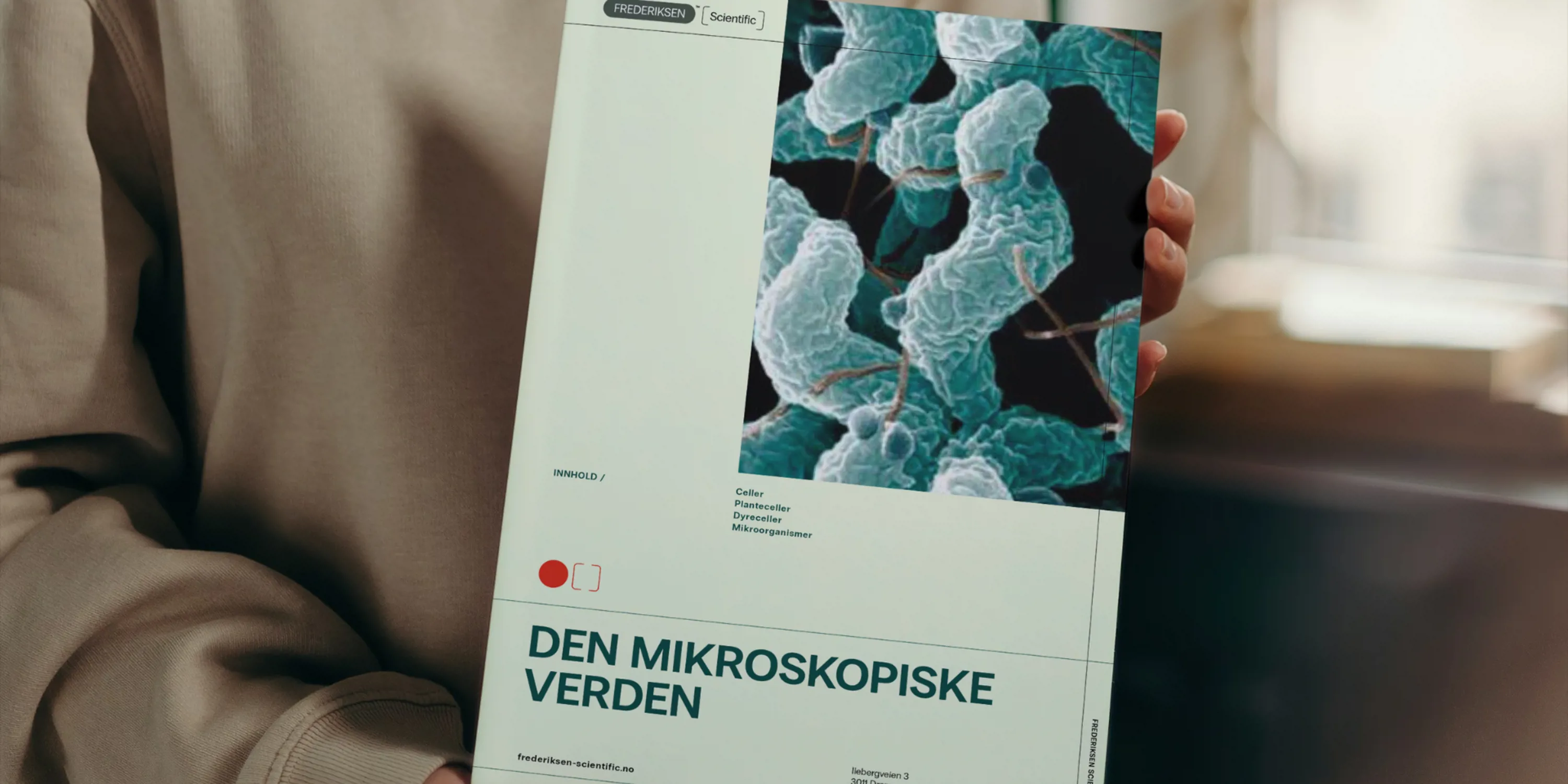 Gratis eksperimentkatalog - Den mikroskopiske verden