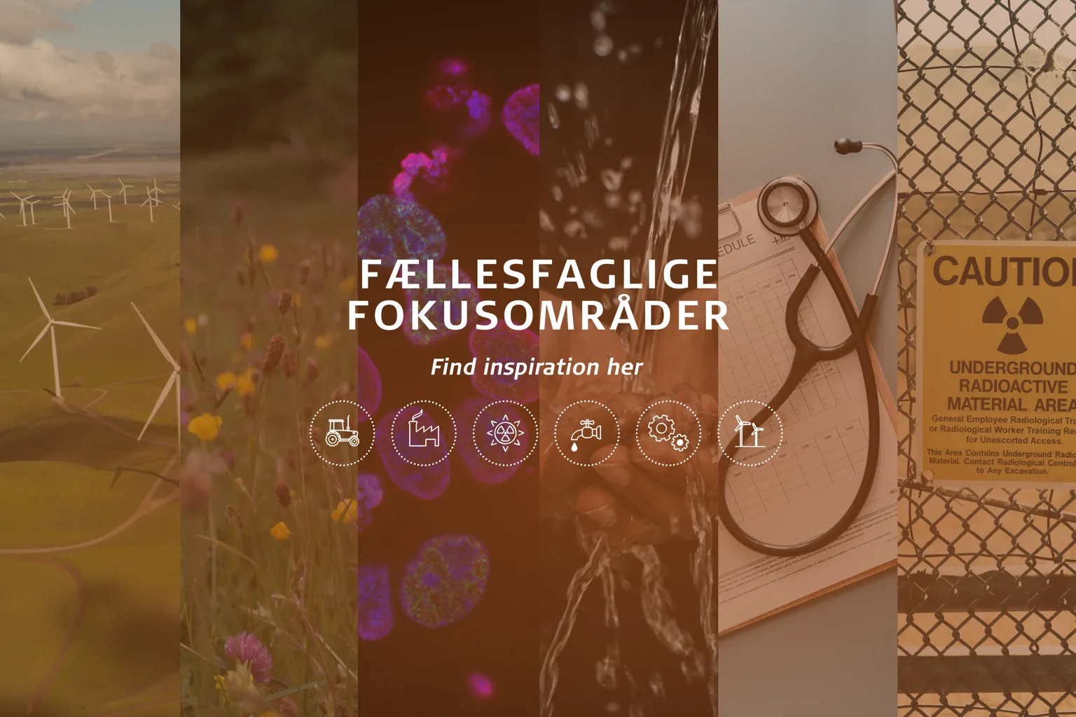 Fællesfaglige fokusområder
