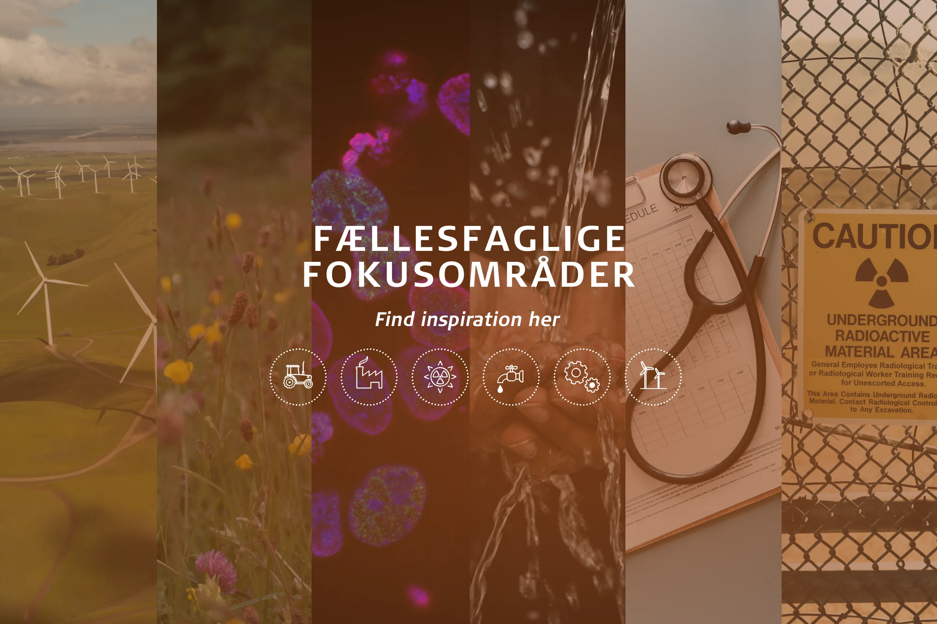 Fællesfaglige fokusområder