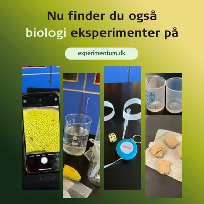 Gratis eksperimenter på Experimentum