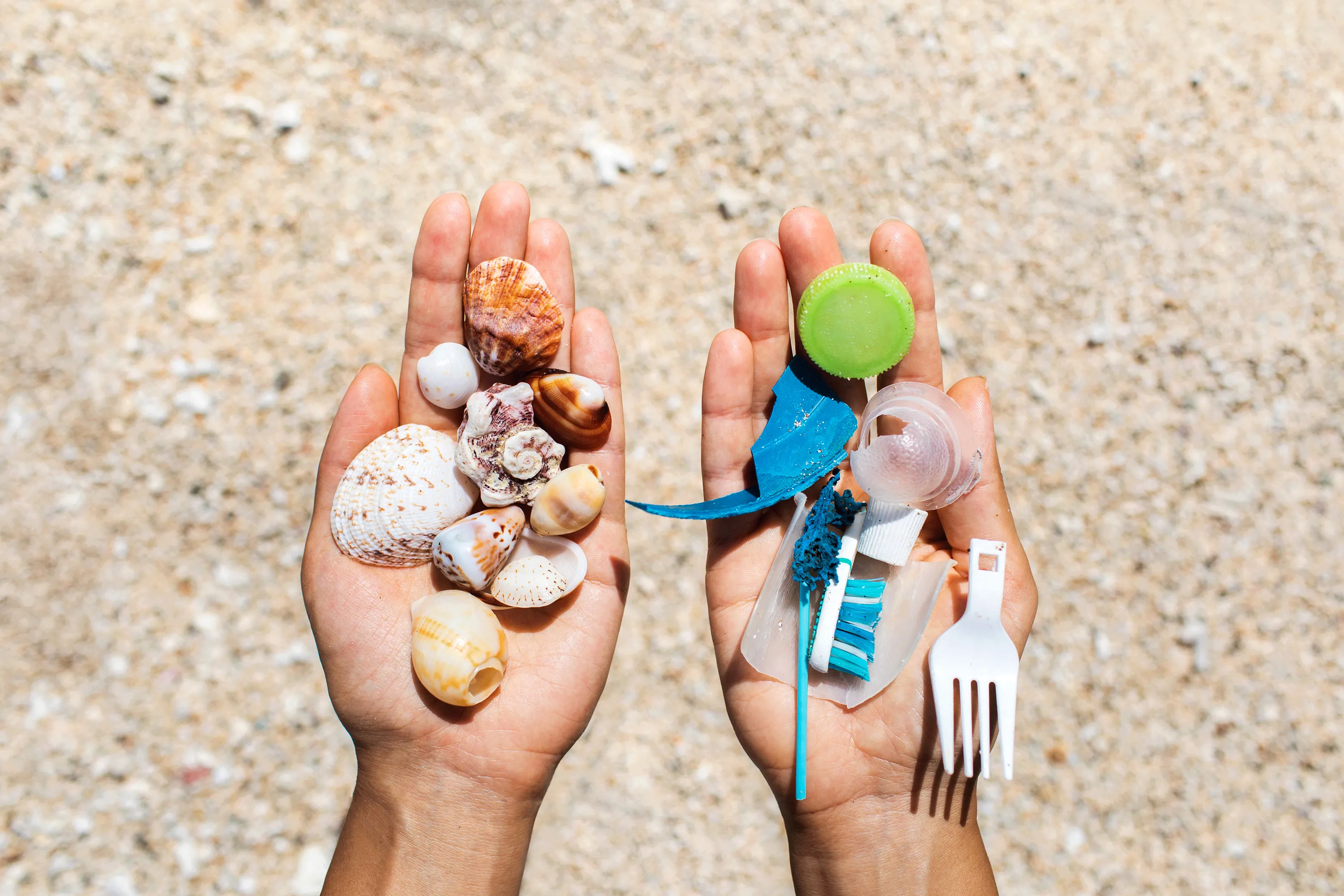  World Cleanup Day: Onderzoek plastic in de natuur