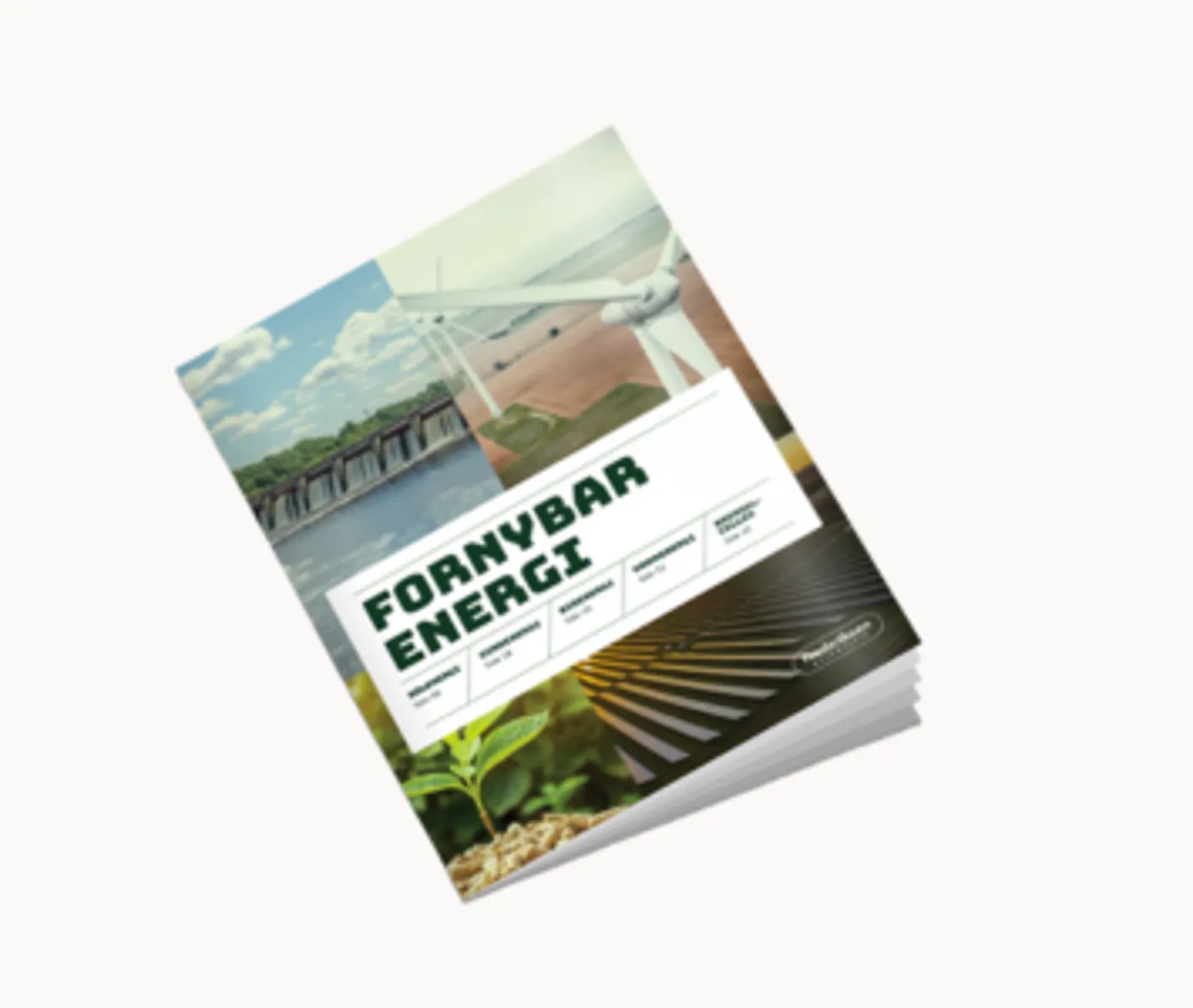 Fornybar energi