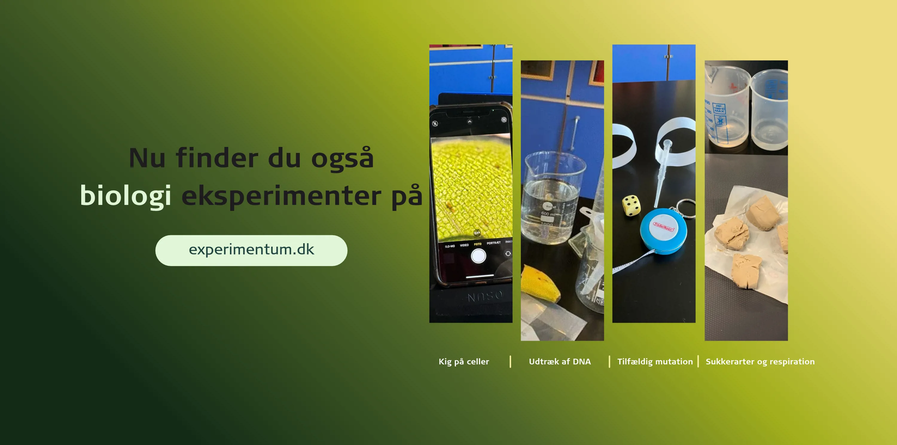 Biologi eksperimenter på Experimentum