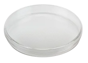 Petriskål i plast Ø 150 mm, pk a 10 Petriskål i plast Ø 150 mm, pk a 10 (016620)