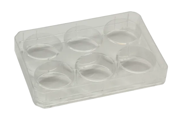 Brøndplade med låg, 6 brønde Brøndplade med låg, 6 brønde (016710)