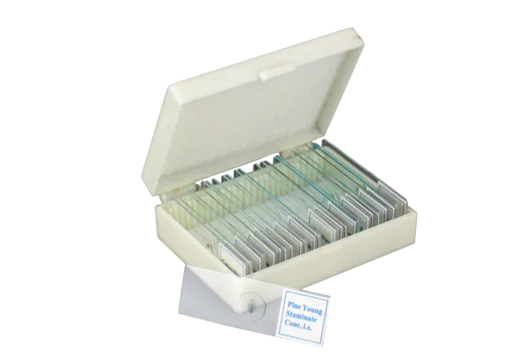 Mikropreparatsett botanikk, 25 forskjellige  (078853)