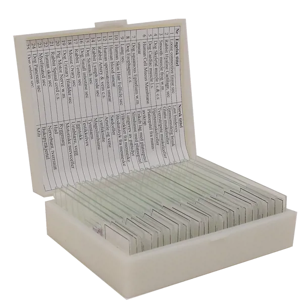 Mikropreparatsett, histologi, 25 preparater  (078854)