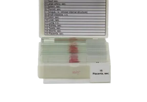 Mikropræparatsæt, histologi, menneskeligt væv, 15 præparater Mikropræparatsæt, histologi, menneskeligt væv, 15 præparater (078856)