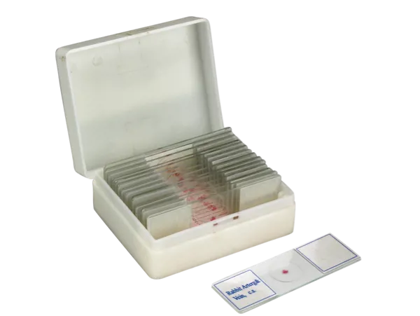 Mikropreparatsett, arterie og vene, 25 preparater  (078858)