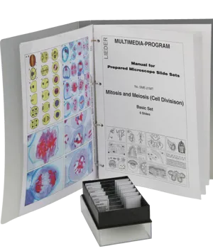 Preparaten set mitose en meiose, 6 verschillende  (078861)