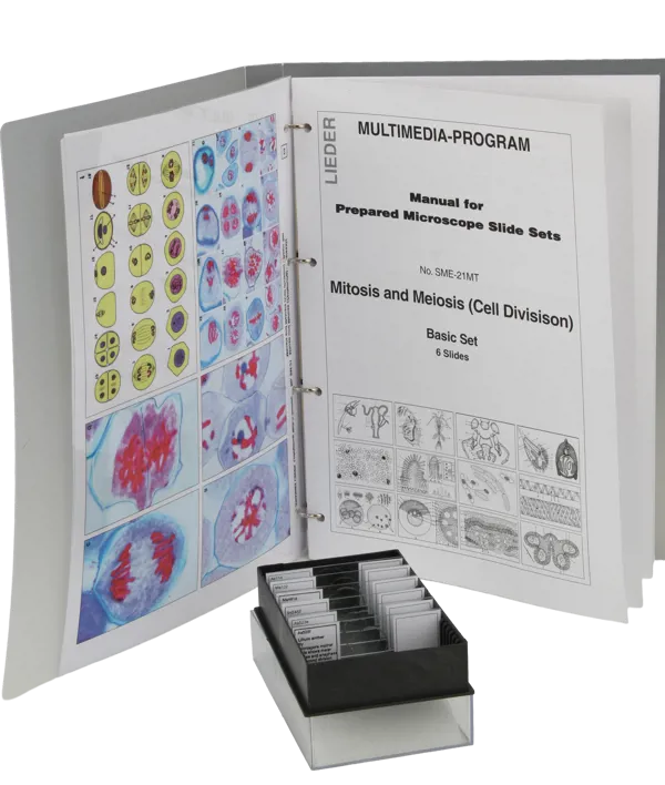 MItose og meiose, 6 ulike preparater, Lieder  (078861)
