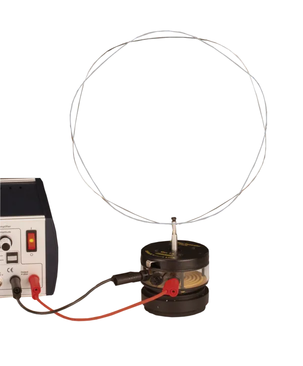 Klavertrådsring  (218510)