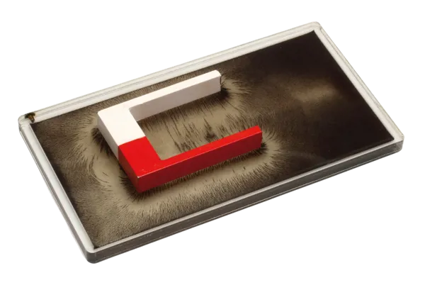 Demoset, magnetische velden 2D  (339620)