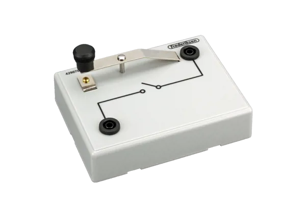 Seinsleutel op voet  (429070)