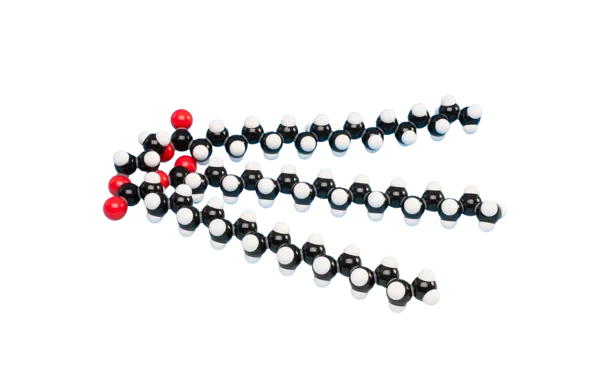 Model, fedt Model, fedt (527551)