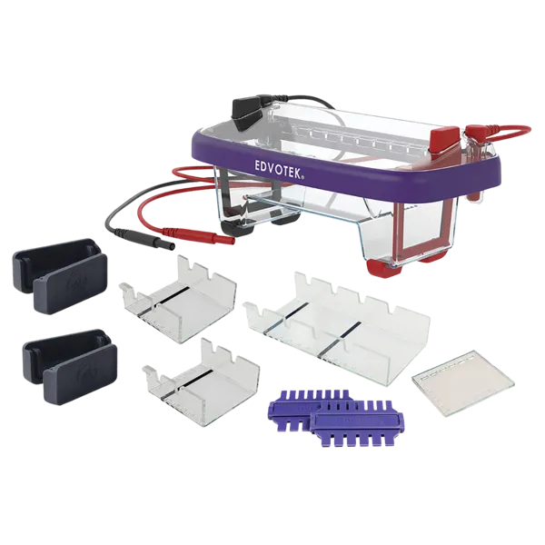 Elektroforeseapparat, vandret, M12 Dual  (544155)
