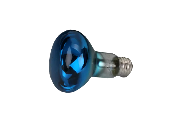 Blå glödlampa för färgblandning 60W (639162)