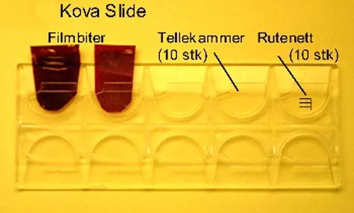 Tællekammer med tællekvadrat, 10 rum  (670137)