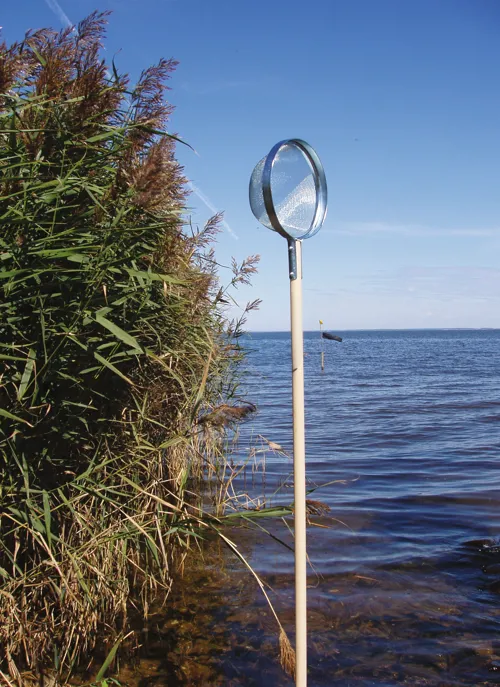 Fangstsigte, økonomimodel, 20 cm Fangstsigte, økonomimodel, 20 cm (760800)
