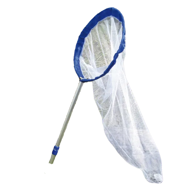 Sommerfuglhåv økonomi Sommerfuglhåv økonomi (761252)