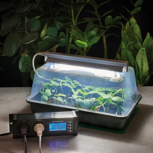 Mini broeikas met verwarming licht en ventilatie Mini broeikas met verwarming licht en ventilatie (763056)
