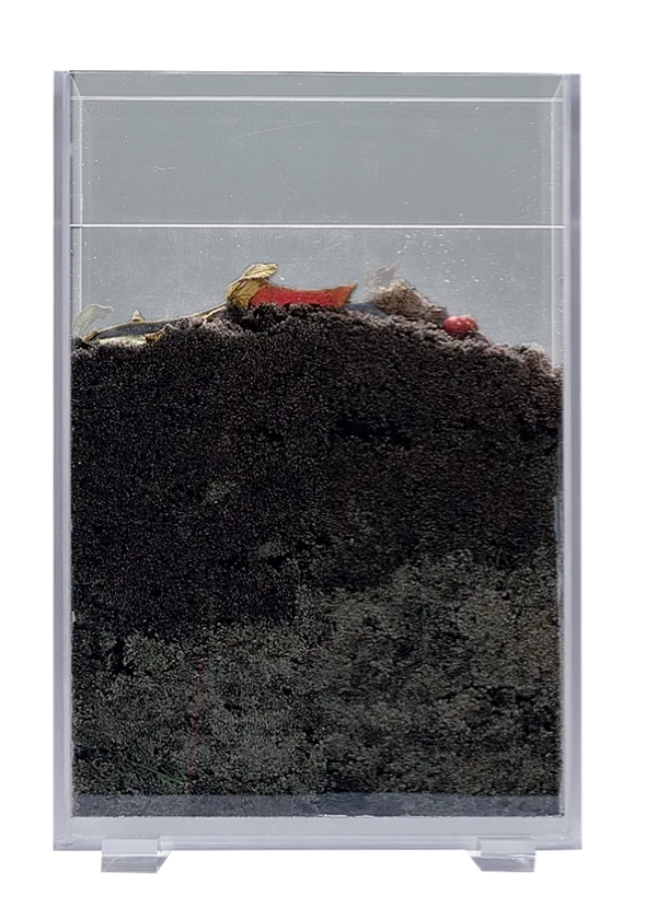 Meitemarkfarm  (767510)