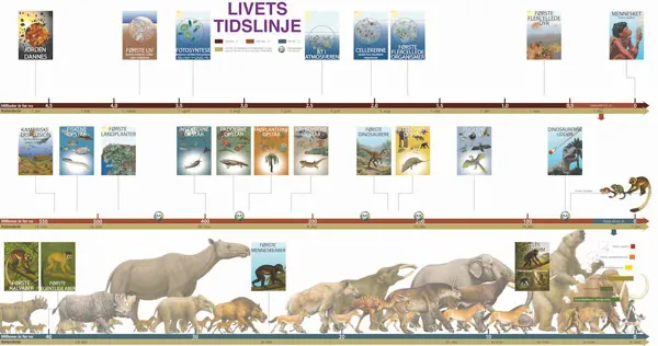 Livets udvikling, tidslinje  (768064)