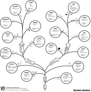 Evolutionsdug, dyrenes stamtræ  (768066)