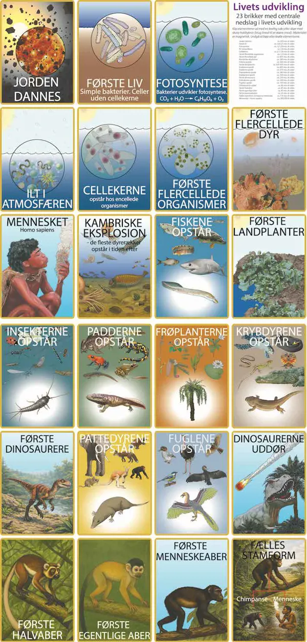 Livets udvikling, 23 brikker, magnetisk Livets udvikling, 23 brikker, magnetisk (768068)