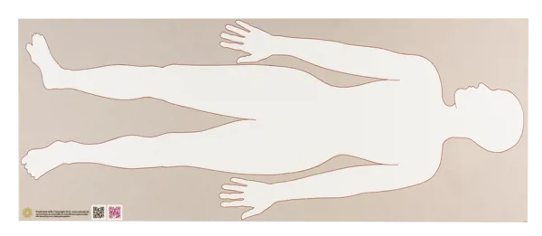 Menneskekropp, magnetmodell, stor  (774790)