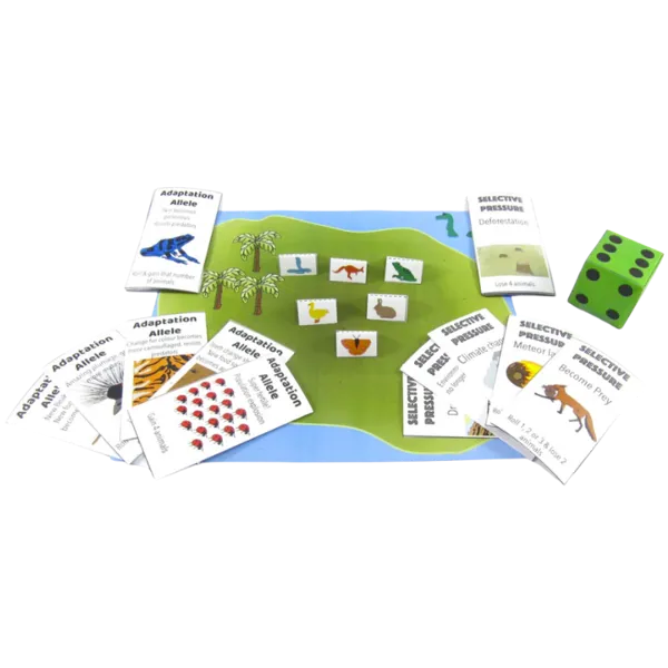 Evolution - Origami Organelles  (776008)