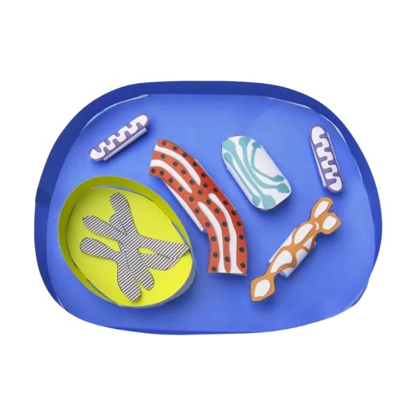 Dyrecelle enkel modell- Origamisett  (776014)