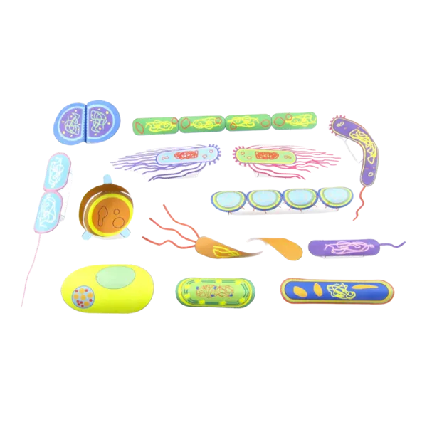 Bakterier - Origamisett  (776016)