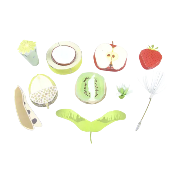 Frøspredning - Origami Organelles  (776024)