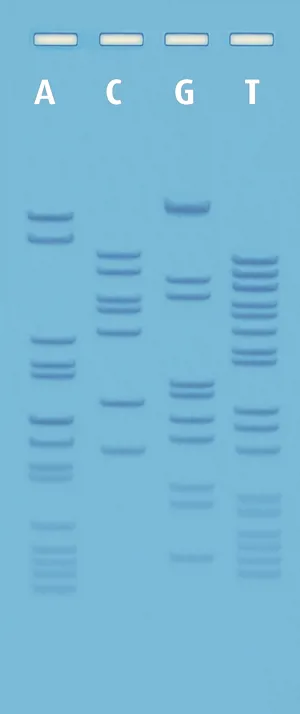 DNA-sekventering, ready-to-load  (778120)