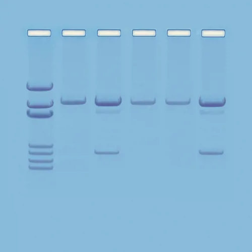 Undersøgelse af GMO, ready-to-load  (778121)