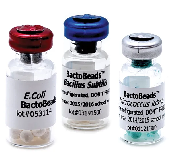 Bakteriekulturer, refill til vare 778160  (778160RF)