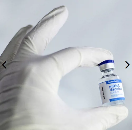 Udvikling af en vaccine mod et nyt patogen Udvikling af en vaccine mod et nyt patogen (778163)