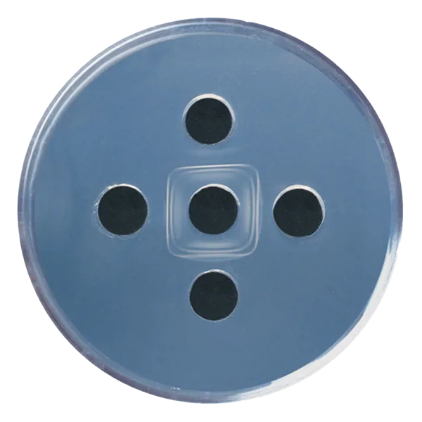 Antigen-antistof interactie: The Ouchterlony procedure Antigen-antistof interactie: The Ouchterlony procedure (778270)