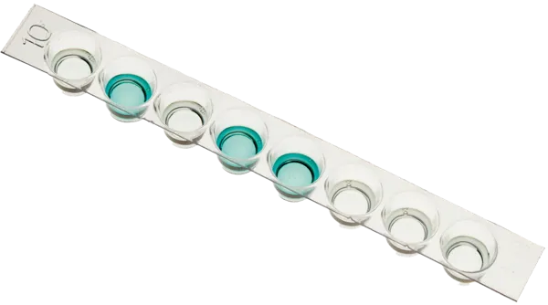 Kyssesyke testsett, ELISA  (778274)